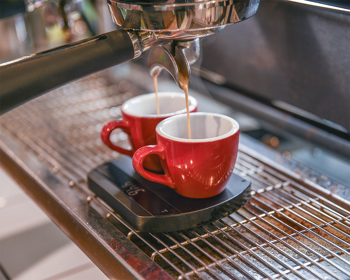 Loveramics Egg Espresso Cup (Red) 80ml